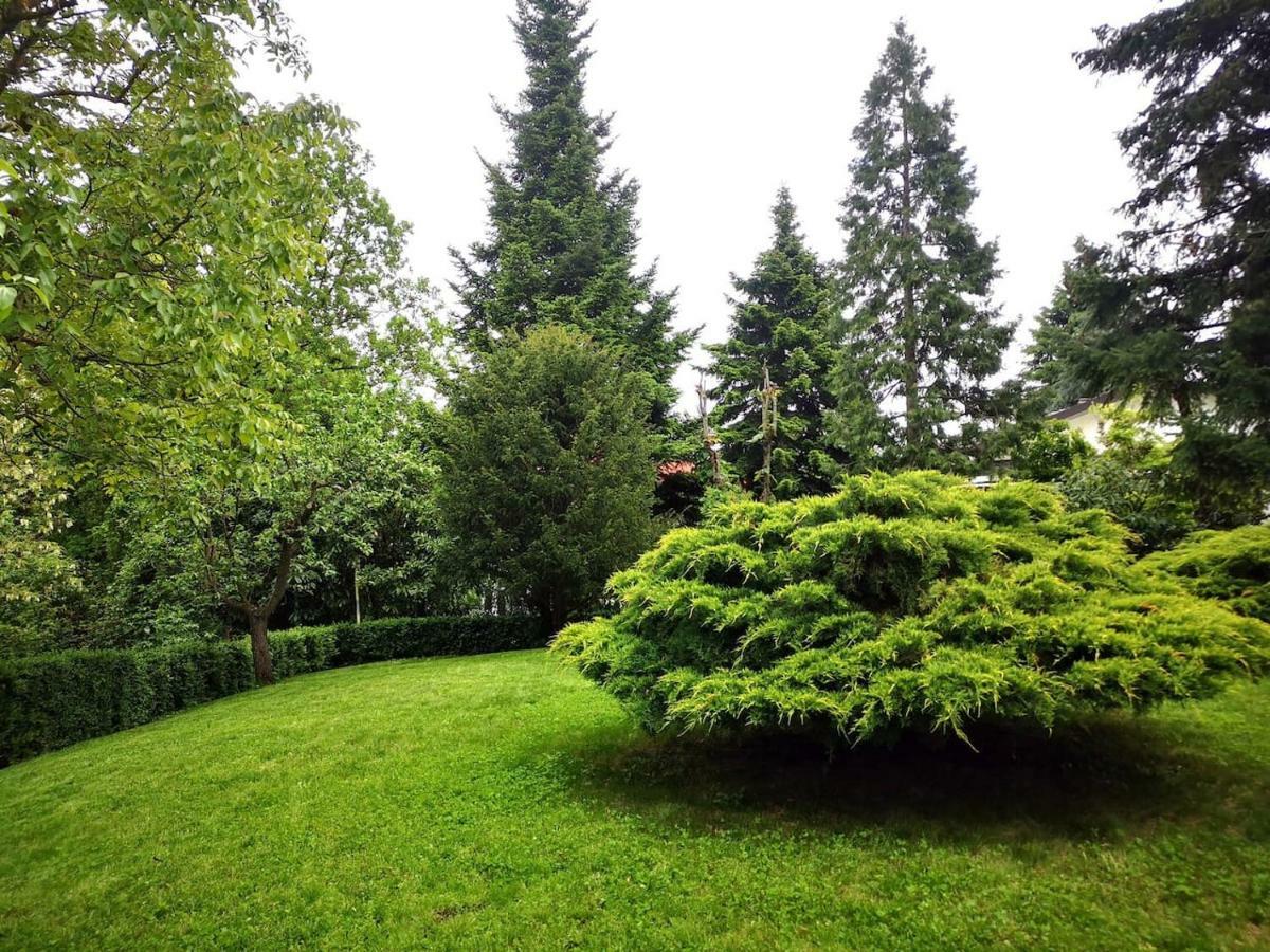 Casa Carla, Immersa Nel Verde Dei Colli Bolognesi 사소마르코니 외부 사진